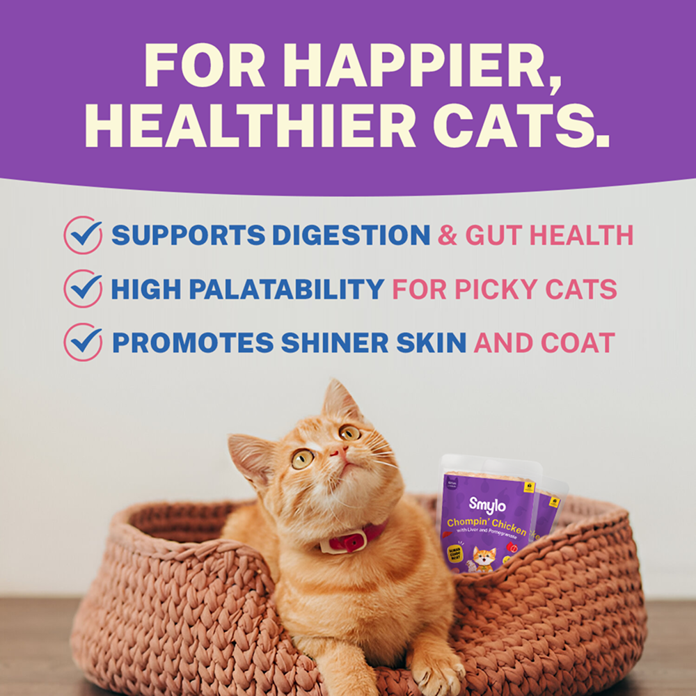 Smylo Chicken, Liver and Pomergranate Fresh and No Preservative Kitten Cat Wet Food Cats-Wet Food Smylo