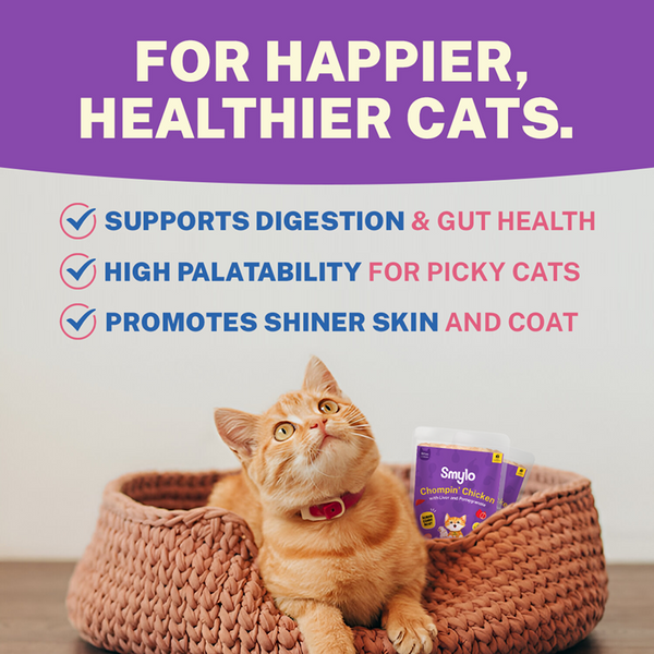 Smylo Chicken, Liver and Pomergranate Fresh and No Preservative Kitten Cat Wet Food