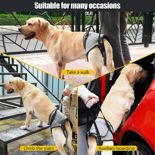 KUTKUT Rehabilitation Sling Hind Limb Support Lift Harness for Dogs (Grey)