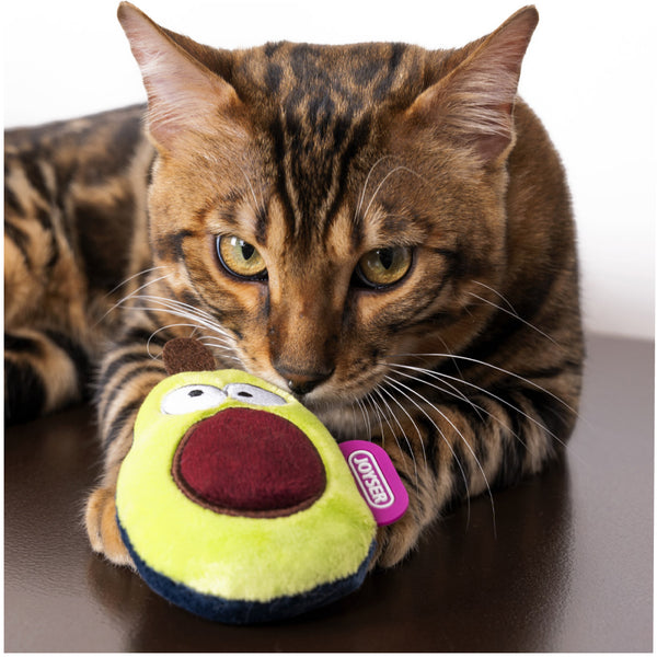 Joyser ECO Avocado Catnip Toy for Cats (Green/Brown)