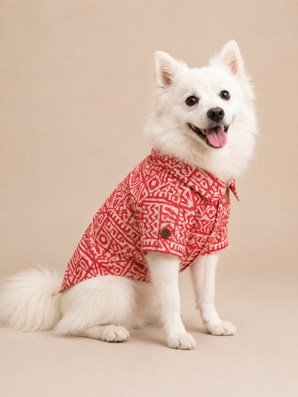 Pawgypets Cotton with Mandarin Collar Kurta for Dogs (Rust)