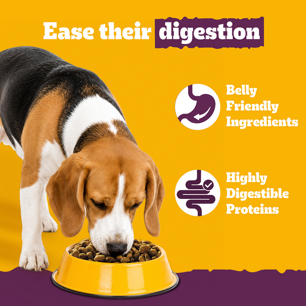 Pedigree New Healthy Belly Adult Dog Dry Food