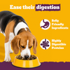 Pedigree New Healthy Belly Adult Dog Dry Food Dogs- Dry Food Pedigree
