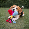 Pawgypets Balloon Plush with Rope Toy for Dogs Dogs-Toys Pawgypets Dropship 11in