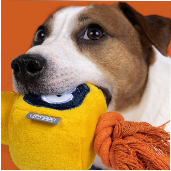 Joyser Cageball Rubber Ball with Robot for Dogs (Yellow/Blue)
