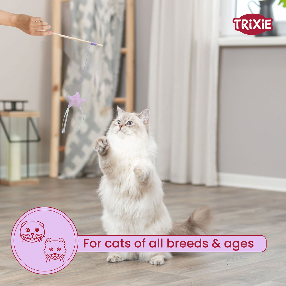 Trixie Junior Playing Rod with Star Toy for Cats Cats-Toys Trixie
