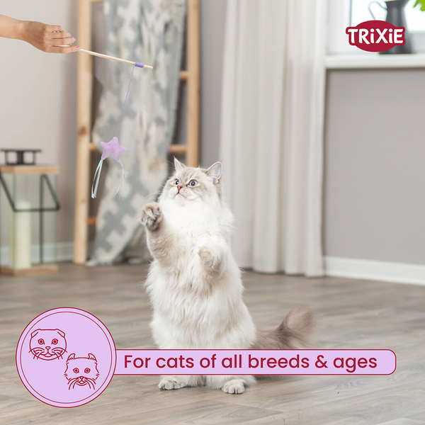 Trixie Junior Playing Rod with Star Toy for Cats