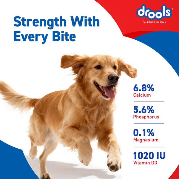 Drools Absolute Calcium Bones Dog treats (Jar)