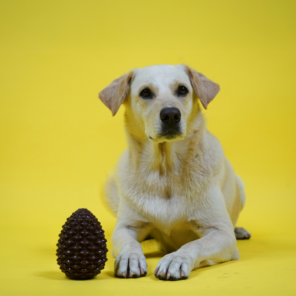 Skatrs Pinecone Treat Dispenser for Dogs (Brown) Both-Toys Skatrs