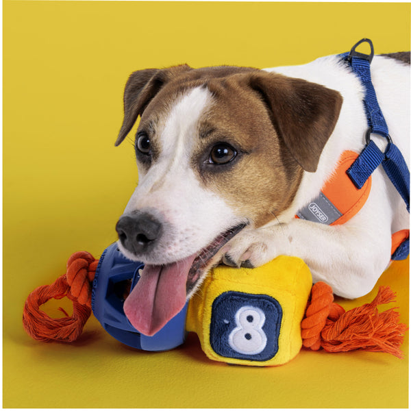 Joyser Cageball Rubber Ball with Robot for Dogs (Yellow/Blue)