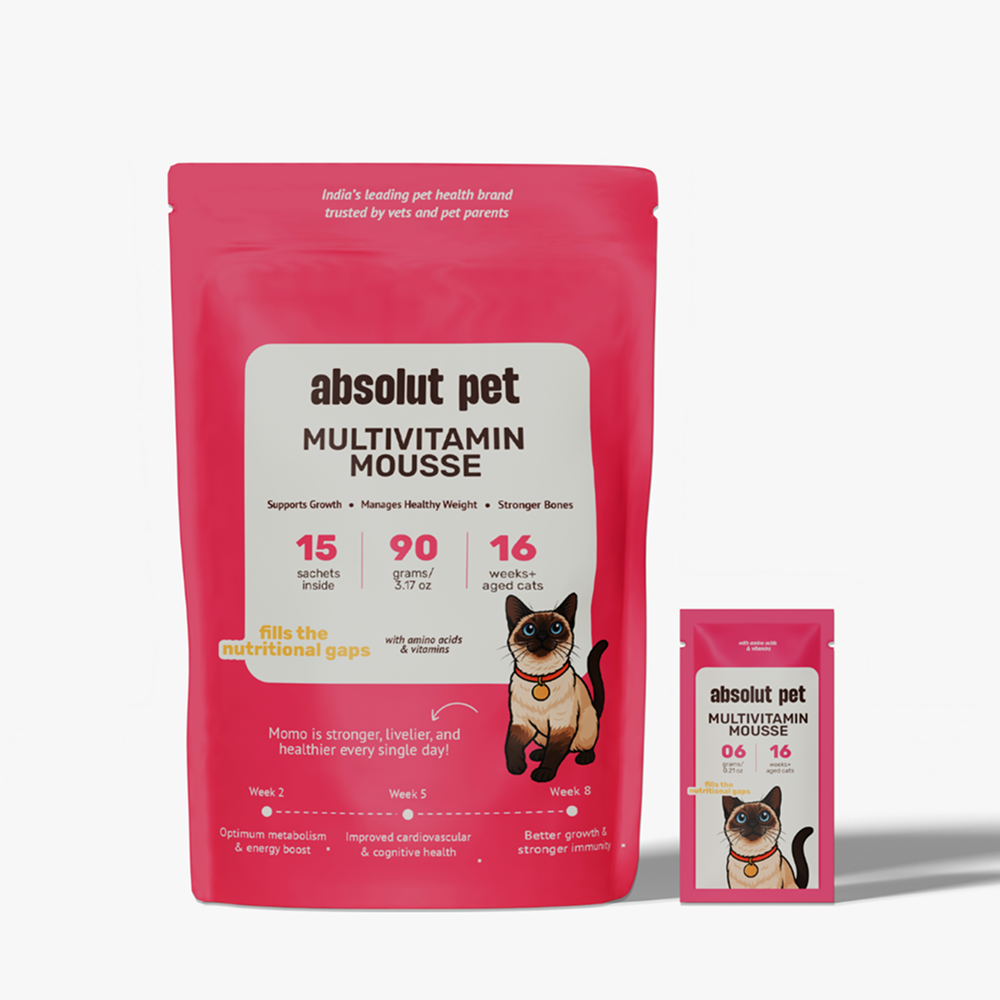 Absolut Pet Multivitamin Mousse Cat Supplement Cats-Health & Wellness Absolut Pet 15 Sachets