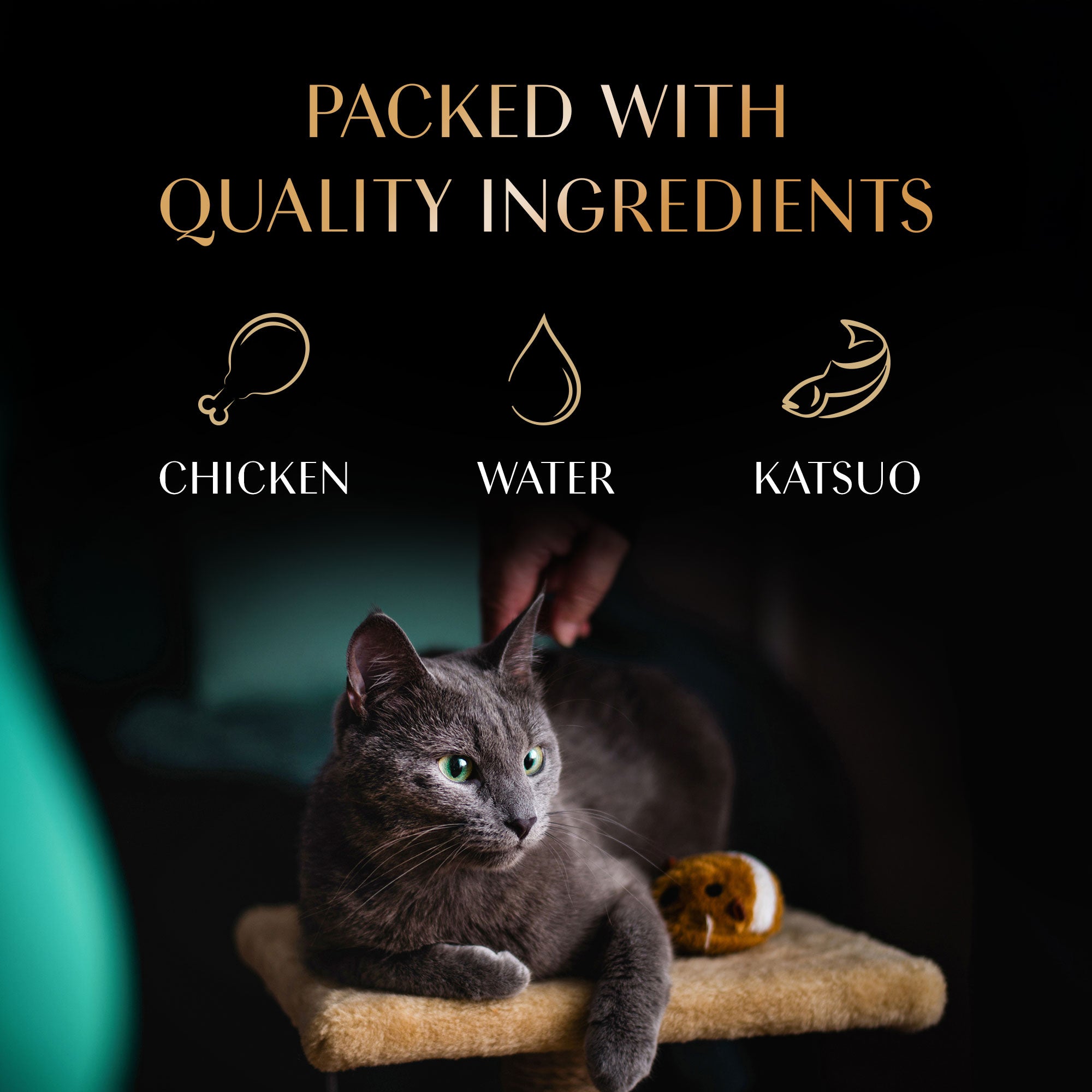 Sheba Tuna Flavor and Tuna & Prawn Maguro Selection Melty Premium Cat Treats Cats-Treats & Others Sheba