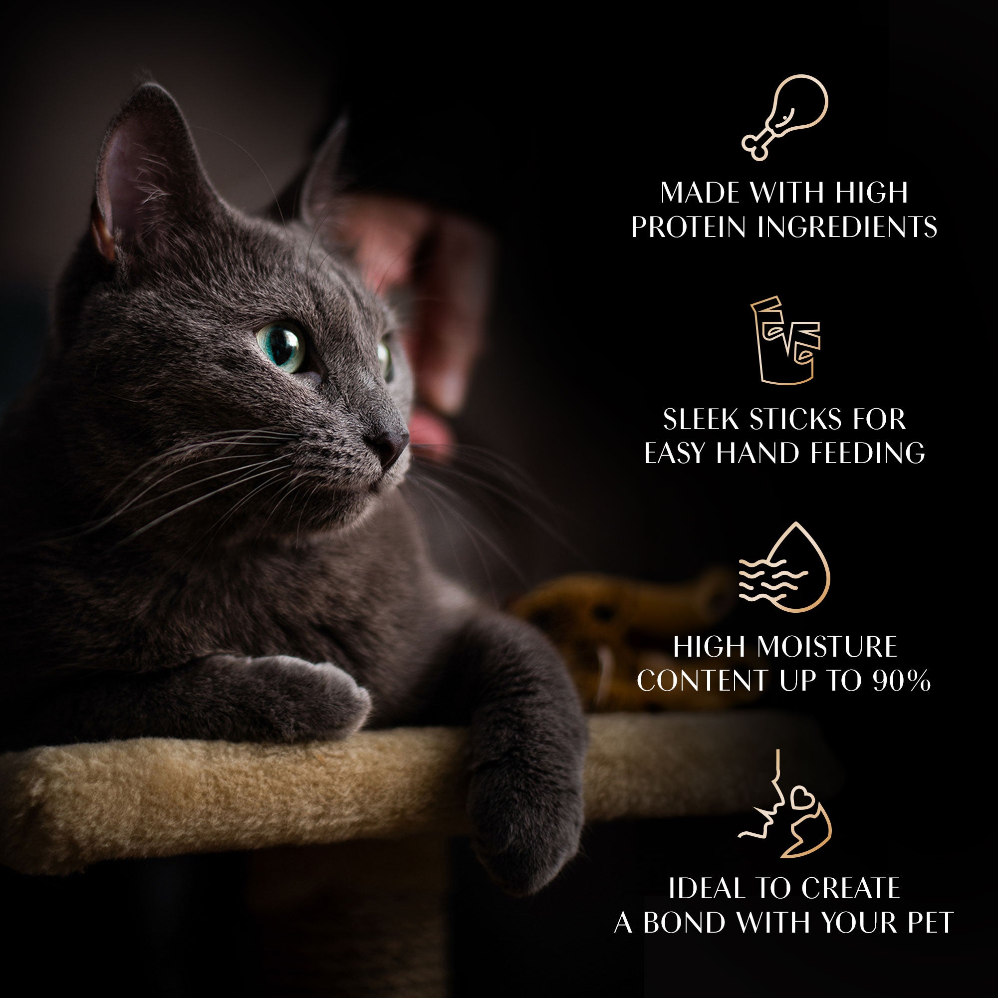 Sheba Tuna Flavor and Tuna & Prawn Maguro Selection Melty Premium Cat Treats Cats-Treats & Others Sheba