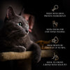 Sheba Tuna Flavor and Tuna & Prawn Maguro Selection Melty Premium Cat Treats Cats-Treats & Others Sheba