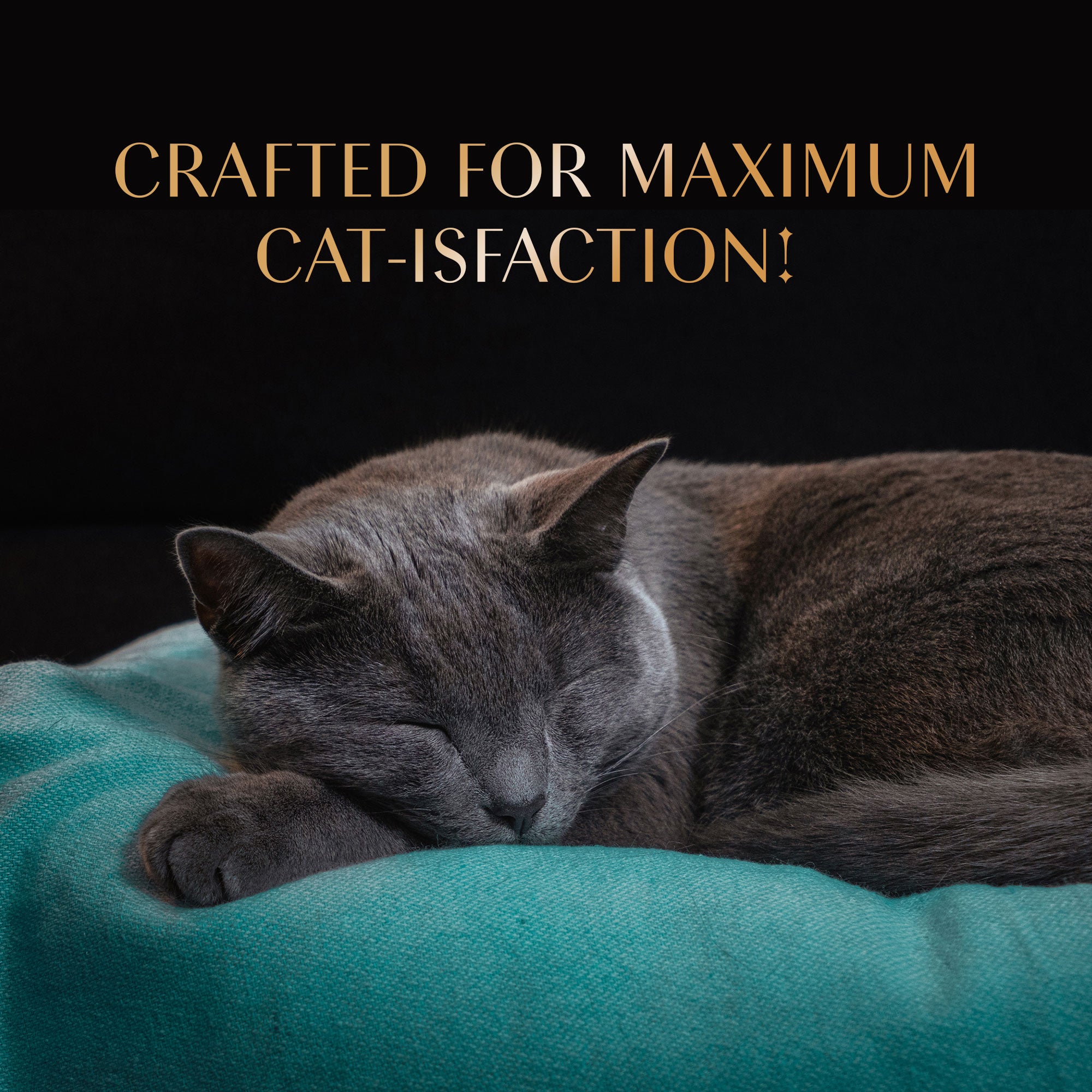 Sheba Tuna Flavor and Tuna & Prawn Maguro Selection Melty Premium Cat Treats Cats-Treats & Others Sheba