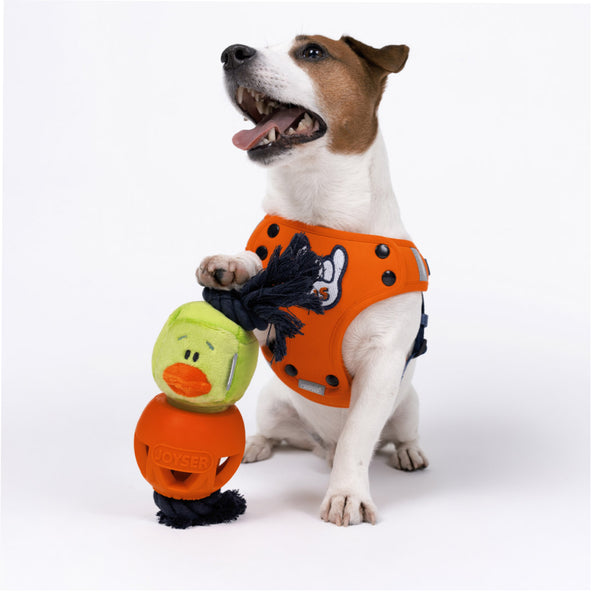 Joyser Cageball Rubber Ball with Duck for Dogs (Yellow/Blue)