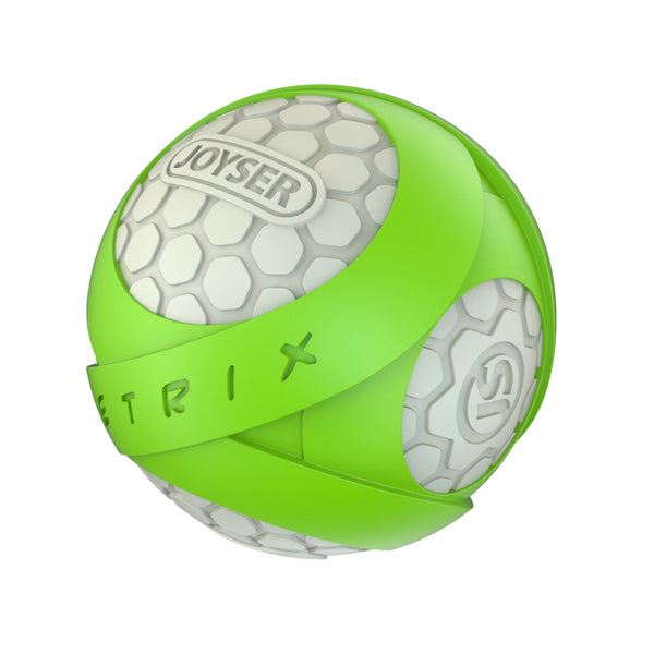 Joyser Netrix Ball for Dogs (Green/White)