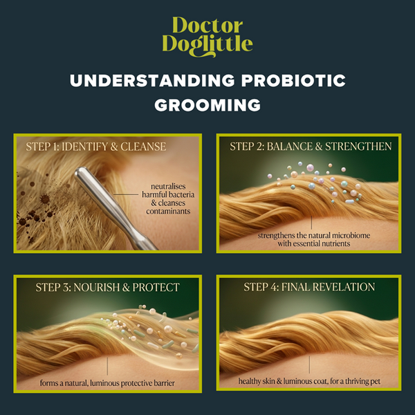 Doctor Doglittle Probiotic Sensitive Skin 2 in 1 Shampoo Conditioner for Dogs