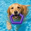 Talking Dog Club Sturdy Hexagon Floater Chew Toy for Dogs (Purple) Dogs-Toys Talking Dog Club Dropship