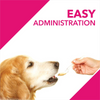 Drools Absolute Skin & Coat Syrup Supplement for Dogs Both-Health & Wellness Drools