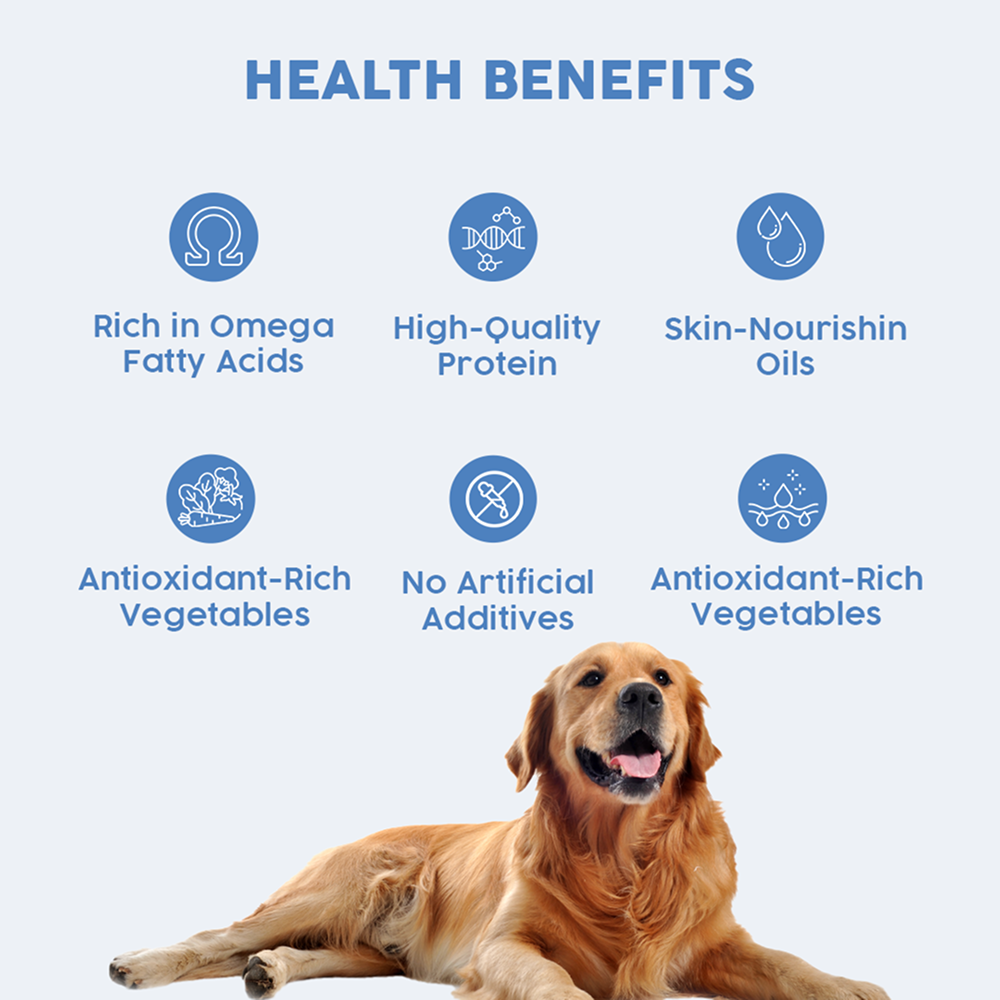 Benny's Bowl Clinical Nutrition for Gastrointestinal Issues Dog Wet Food Dogs-Fresh Food Bennys Bowl
