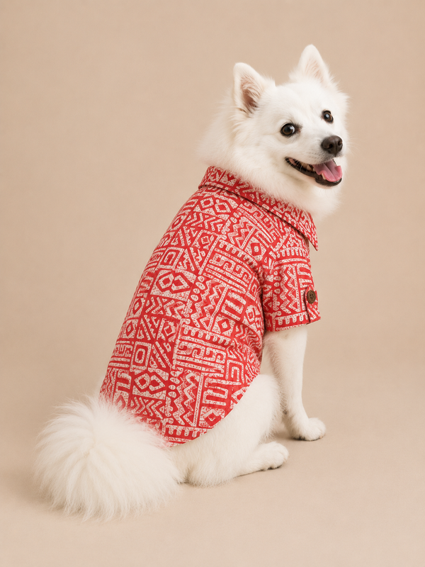 Pawgypets Cotton with Mandarin Collar Kurta for Dogs (Rust)