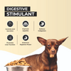 FurBall Story Pacho Pet Syrup for Dogs