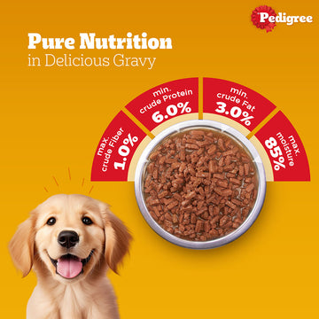 Pedigree Chicken & Liver Chunks in Gravy Puppy Wet Dog Food