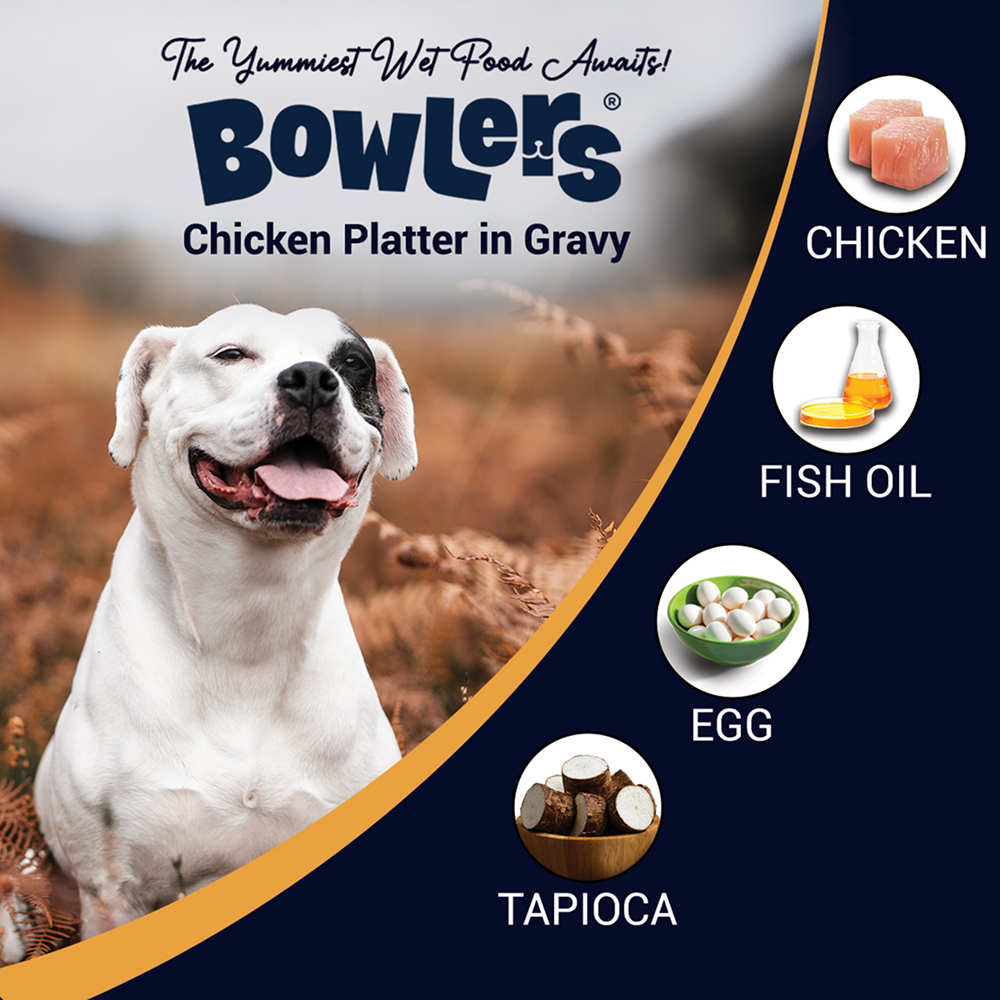 Bowlers Chicken Recipe in Gravy Dog Wet Food Dogs-Wet Food Bowlers