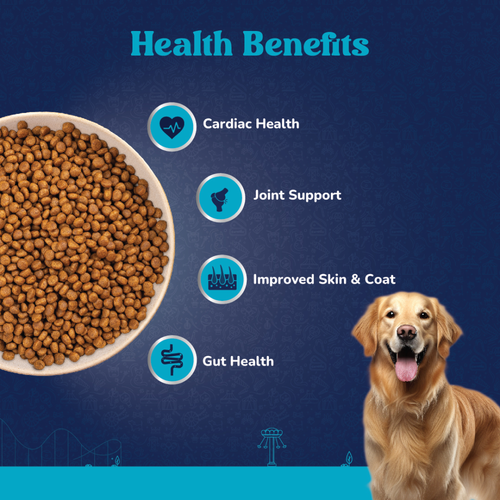 Carniwel Fresh Chicken Kibble Large Breed Adult Dog Dry Food