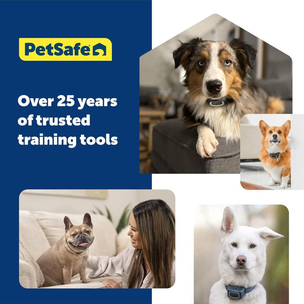 PetSafe VBC 10 Vibration Bark Control Collar for Dogs