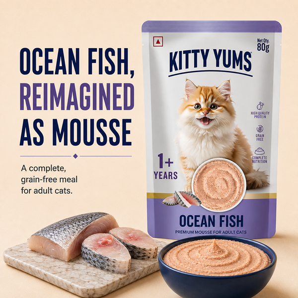Kitty Yum Ocean Fish Mousse Cat Wet Food