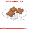 Royal Canin Mini Adult Dog Dry Food Dogs- Dry Food Royal Canin