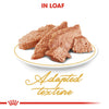 Royal Canin Persian Adult Loaf Cat Wet Food Cats-Wet Food Royal Canin