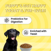Bark Out Loud Essentials Real Chicken All Breed Puppy Dog Dry Food Dogs- Dry Food Bark Out Loud