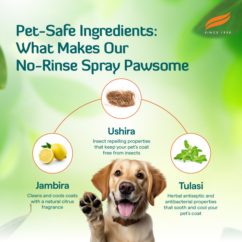 Himalaya Fresh Coat No Rinse Spray & Furlicks Gut Health Supplement Dog & Cat Combo Exclusive Combo Exclusive Combo