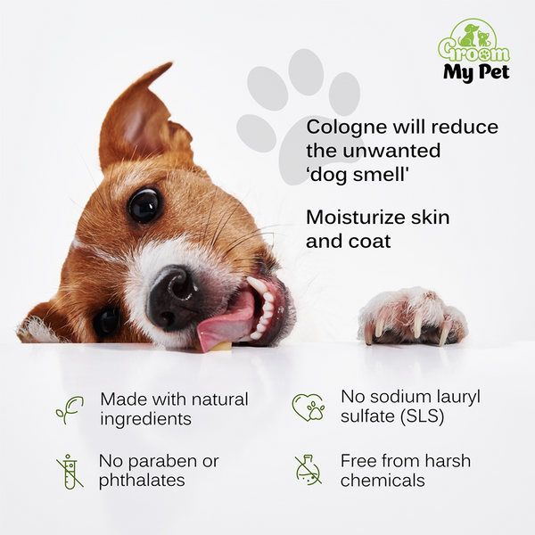 Groom My Pet Lemongrass & Pine Pampered Pooch Cologne for Dogs