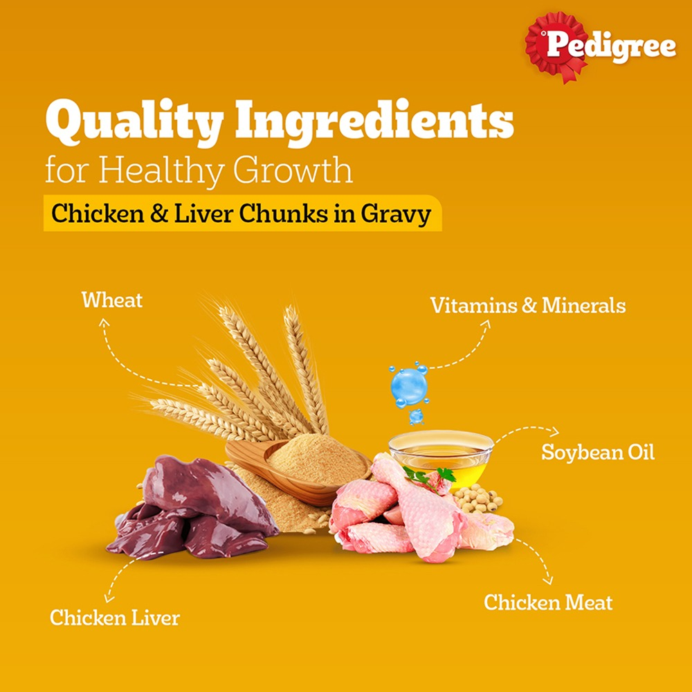 Pedigree PRO Active Adult Large Breed Dry Food, Pedigree Chicken Liver Gravy Adult Dog Wet Food Combo
