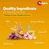 Pedigree PRO Active Adult Large Breed Dry Food, Pedigree Chicken Liver Gravy Adult Dog Wet Food Combo Exclusive Combo Exclusive Combo