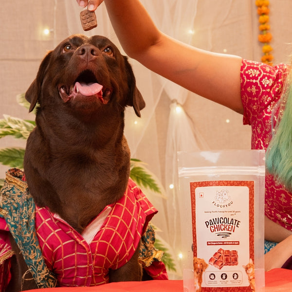 Floofyou Pawcolate Chicken Chocolate Safe Oven Baked Cookie Dog and Cat Treats