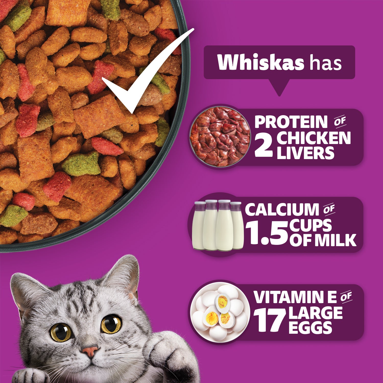 Whiskas Ocean Fish Flavour Dry Food & Petkit Freshelement Solo Automatic 2.4G WiFi Food Dispenser Adult Cat Combo Cats- Dry food Whiskas