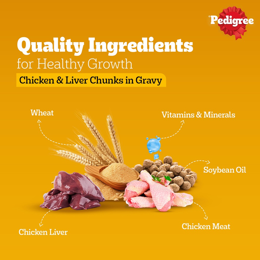 Pedigree Chicken and Liver Chunks in Gravy Pouch Puppy Dog Wet Food (130g)