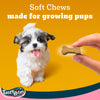 Pedigree Tasty Bites Chicken & Mixed Veggies Flavour Puppy Chewy Treats Dog Treats + Others Pedigree