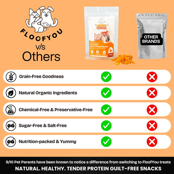 FloofYou Air Dried Chewy Chicken Tender Dogs & Cats Treat