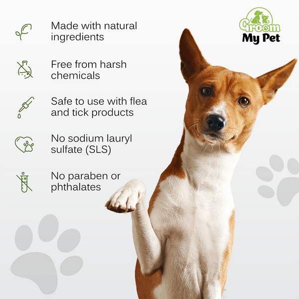 Groom My Pet Anti Itch & Dandruff Conditioning Shampoo for Dogs