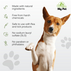 Groom My Pet Anti Itch & Dandruff Conditioning Shampoo for Dogs Dogs-Grooming Supplies Groom My Pet Dropship