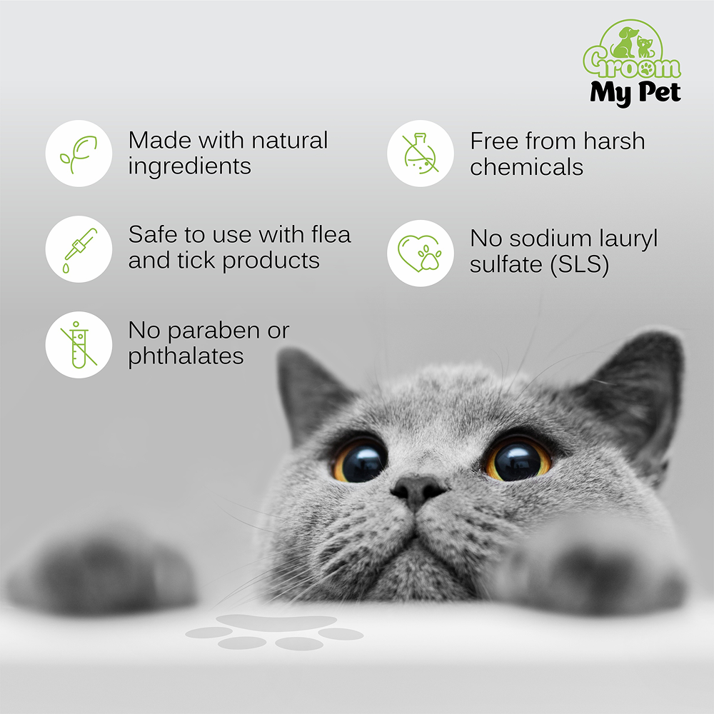 Groom My Pet Anti Itch & Dandruff Conditioning Shampoo for Cats Cats-Grooming Supplies Groom My Pet Dropship