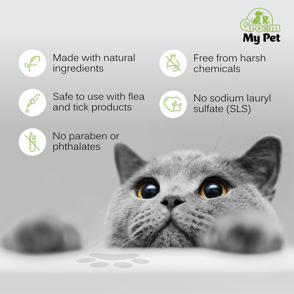 Groom My Pet Anti Itch & Dandruff Conditioning Shampoo for Cats