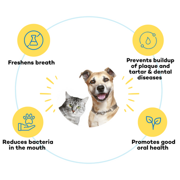 The Good Paws Ta Ta Tartar Dental Care for Dogs and Cats | Oral Care Water Additive