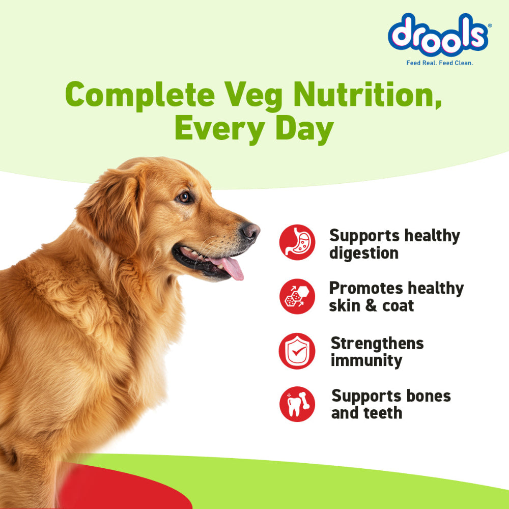 Drools 100% Vegetarian Puppy and Adult Dog Veg Dry Food (All Life Stages) Dogs- Dry Food Drools